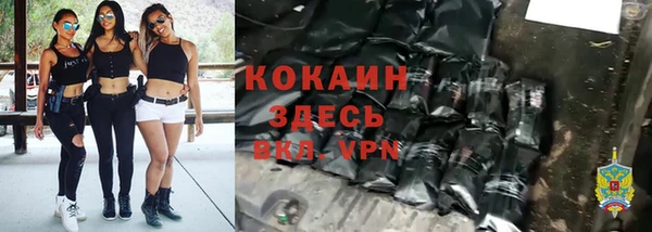 прущие крисы Алзамай