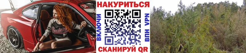 мега зеркало  Татарск  Каннабис индика 